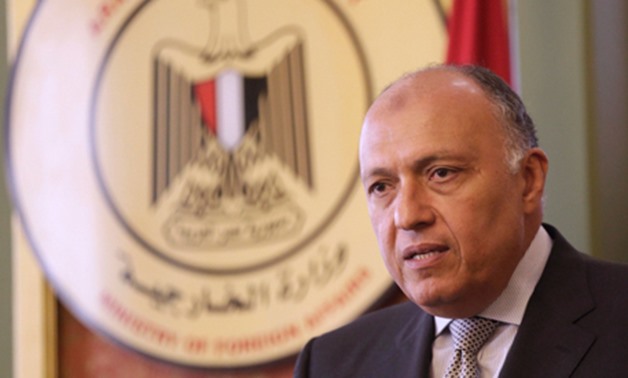 Egypt's Foreign Minister Sameh Shoukry - Reuters