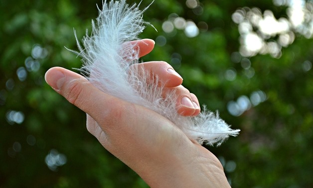 A person holding a feather – CC via Pixabay/MariaGodfrida 