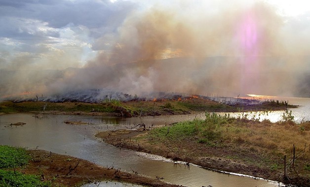 Slash-and-burn farming technique via Wikimedia commons/ Alzenir Ferreira de Souza