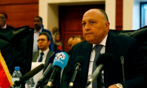 Egyptian Foreign Minister Sameh Shoukry. (AFP)