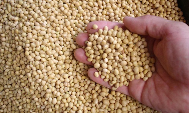 dry soybeans (Glycine max) at a market in Baubau City, Buton Island, Indonesia- CC via Wikimedia