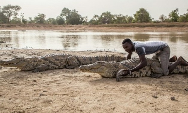 People in Bazoule also share their pond with more than 100 of the razor toothed creatures. PHOTO: AFP