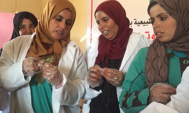 Women from different villages of South Sinai attend the governmental workshop training aimed at improving date palm cultivation practices - Egypt today 