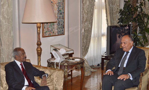 Egyptian Foreign Minister Sameh Shoukry and Eritrean Foreign Minister Othman Saleh - Press Photo