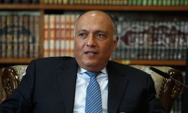Minister of Foreign Affairs Sameh Shoukry - Archive
