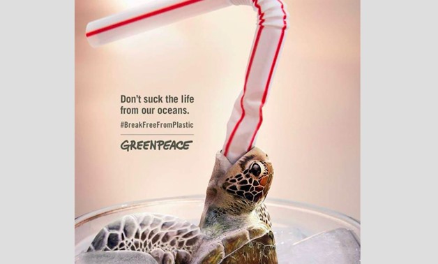 Negative effect of plastic on sea creatures. - Photo Courtesy of Plastic Free Turtles Official Facebook Page