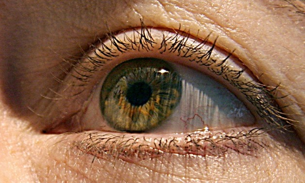 Researchers hope that eye exams could one day help screen people in their 40s and 50s for the possibility of later developing Alzheimer's disease long before symptoms appear
