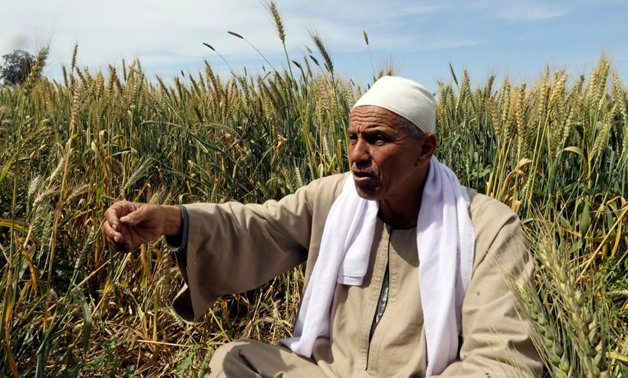 Farmer Mohamed Abdelkhaleq speaks during an interview with Reuters in a field in the Beheira Governorate, north of Cairo, Egypt April 4, 2018.

