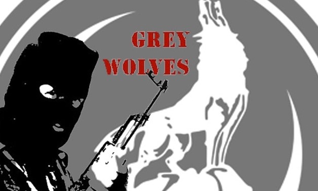 Logo of a Turkish militant organization "Grey Wolves"