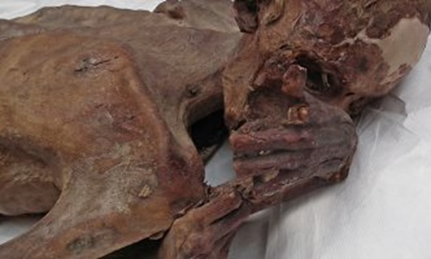 Ancient Mummies - Egypt Today