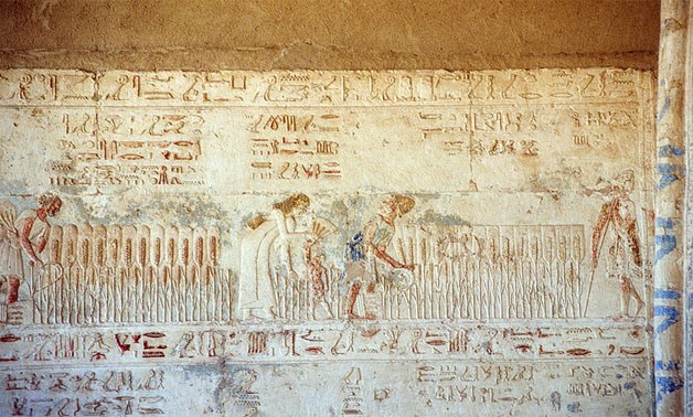 Harvest scene in the pronaos of the tomb of Petosiris, Tuna el-Gebel, Egypt – Creative Commons via Wikimedia