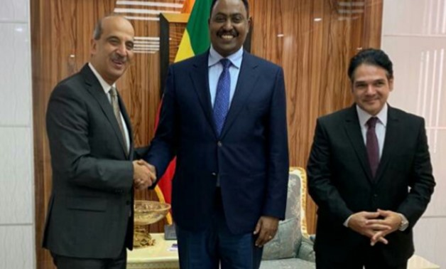 New Egyptian amb. submits credentials to Ethiopian FM - Press Photo