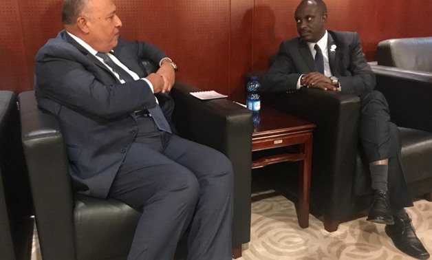 Foreign Minister Sameh Shoukry meets with his Rwandan counterpart in Addis Ababa - Courtesy of MFA Spokesperson