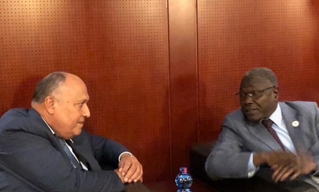 Foreign Minister Sameh Shoukry met Wednesday his Nigerien counterpart Kalla Ankourao - Courtesy of the Egyptian MFA spokesperson