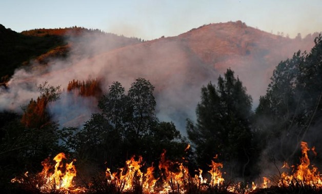 Northern California wildfire forces hundreds to evacuate mountainous area | Reuters
