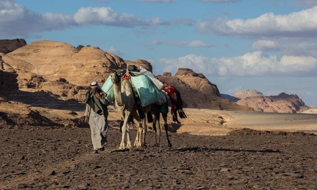Sinai Bedouin- Sinai Trail