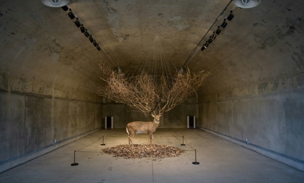 Artist Kim Myeongbeom's installation is placed in a decommissioned ammunition store at Camp Greaves, a former US army facility in South Korea

