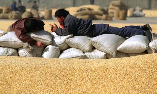 Farm workers rest on bags of threshed and dried corn before bagging a stockpile of the grain (foreground) at a roadside distribution point near Beijing.
