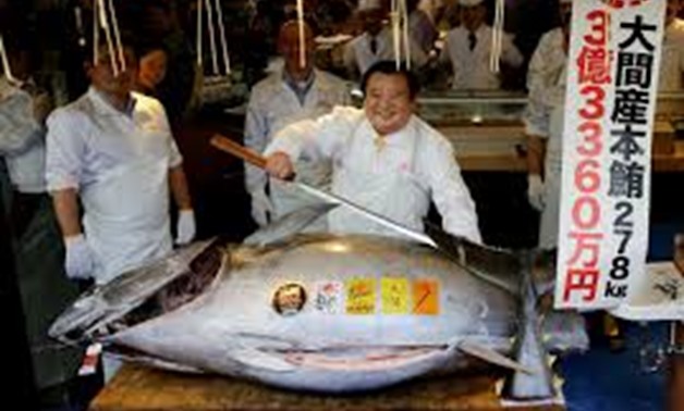 Tuna sells for record $3 million in auction at Tokyo's new fish market | Reuters