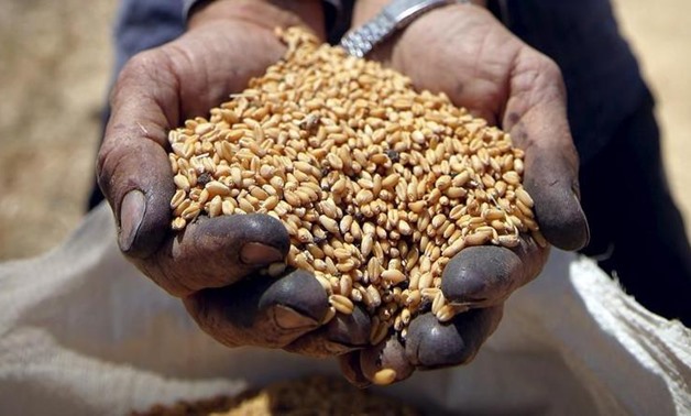 Wheat graft cases- Reuters