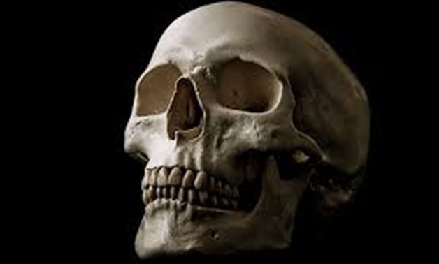 FILE - Ancient Skull