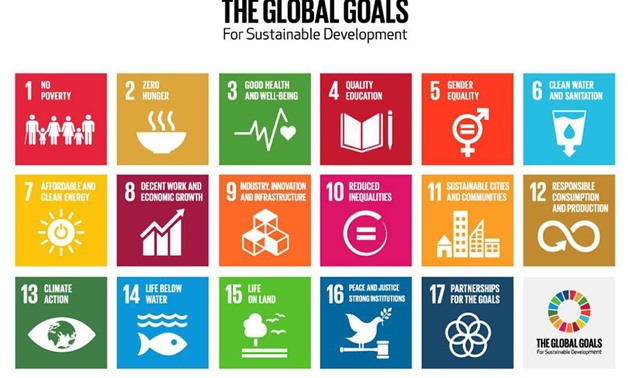 The Global Goals for Sustainable Development SDGs - Photo Courtesy of WHO official website