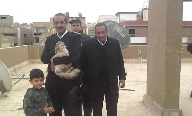 courtesy of Rana Khankan’s official account on Facebook (cat owner)