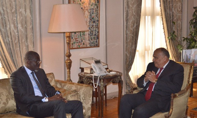 Egyptian Foreign Minister Sameh Shoukry (R) meets with Secretary General of the International Federation of Red Cross and Red Crescent Societies Elhadj As Sy (L) - Courtesy of the Foreign Ministry Spokesman on Twitter