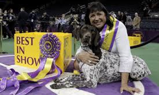 FILE PHOTO: Handler Valerie Nunez Atkinson poses with CJ, a German Shorthaired Pointer from the Sporting Group, after they won Best in Show at the Westminster Kennel Club Dog show at Madison Square Garden in New York, U.S., February 16, 2016. REUTERS/Bren