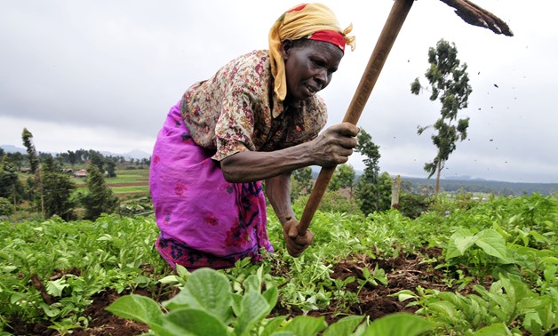 Food security/ CC via Wikipedia/ 2DU Kenya 86

