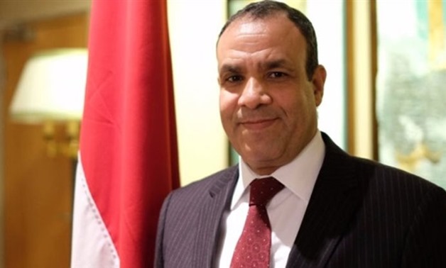 Egyptian Ambassador in Berlin Badr Abdel Aati