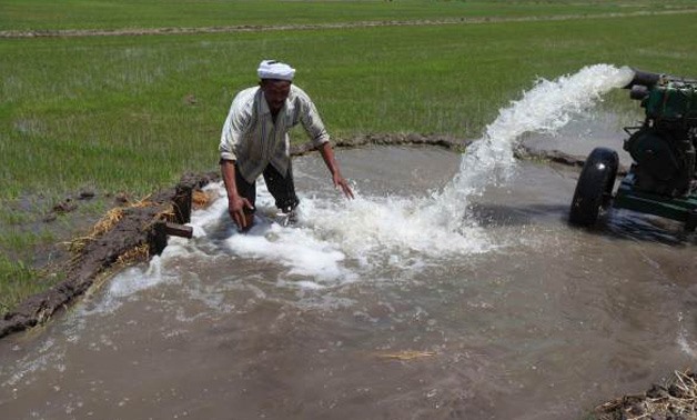 An Egyptian farmer irrigates his land - REUTERS