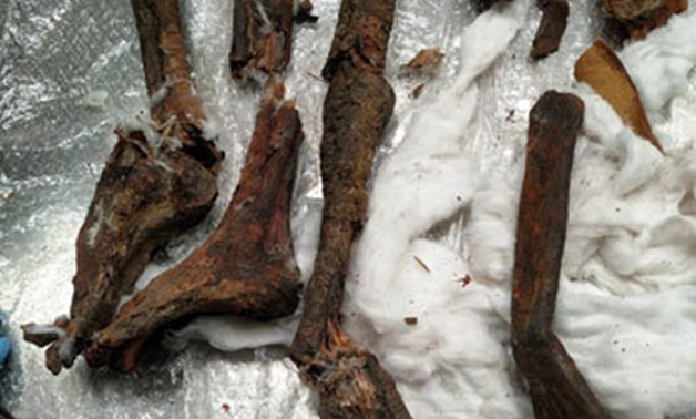 FILE - The Skeletal parts confiscated by authorities