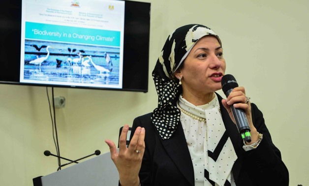 Environment Minister Yasmine Fouad during a Cairo Climate Talks event on May 2, 2017 