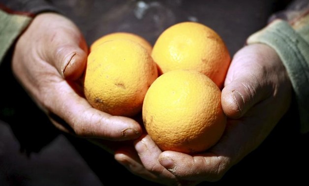 FILE - Citrus farmer holds fruit on his farm near Griffith, north of Melbourne, Australia, August 22, 2007 – Reuters/Tim Wimborne