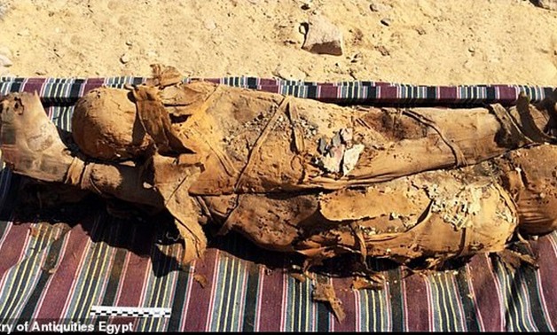 File-uncovered mummies