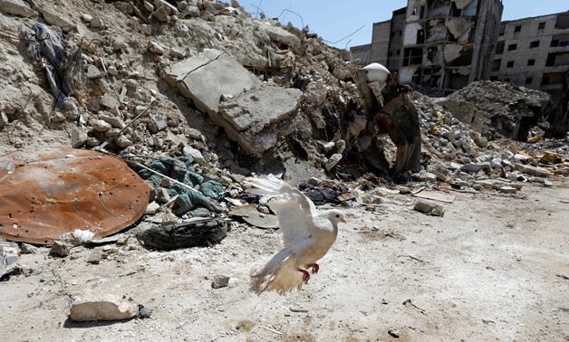 A pigeon flies near mounds of rubble in Aleppo's Salaheddine district, Syria April 13, 2019. Picture taken April 13, 2019. REUTERS/Omar Sanadiki