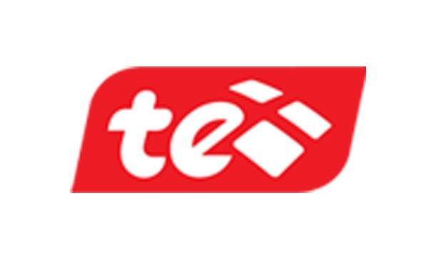 Telecom Egypt  web site logo 