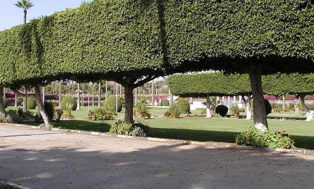 List of botanical gardens in Egypt - Wikipedia 