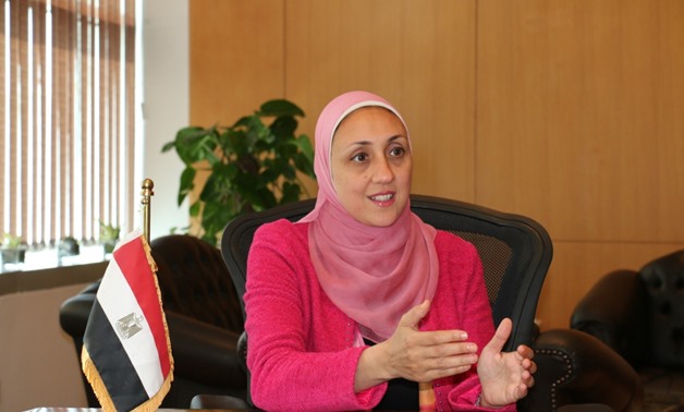 Hala El Gohary was appointed as the CEO of the Information Technology Industry Development Agency (ITIDA).- press photo