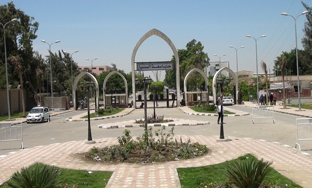 FILE: Minya University