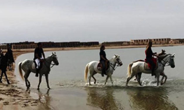 Large number of tourists rides horses in Hurghada