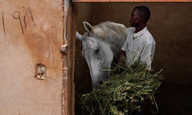 A worker feeds a horse at a private stable at the Equestrian Club, in Khartoum, Sudan, June 27, 2019. The club has had to cut back activities since popular unrest erupted in December and led to the fall of autocratic President Omar al-Bashir in April. REU