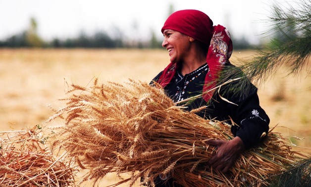 Woman farmer - file photo
