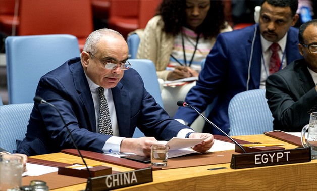 Ambassador Amr Abdellatif Aboulatta - Security Council’s website