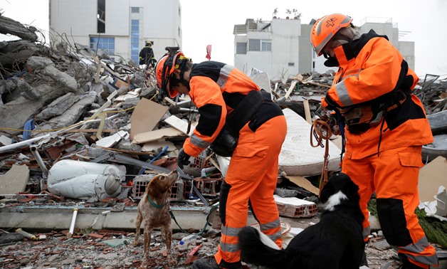 Rescue workers with dogs work on a collapsed building in Durres, after an earthquake shook Albania, November 29, 2019. REUTERS/Florion Goga