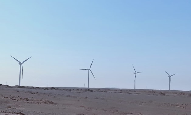 The world’s largest wind farm, Gabal Al Zeit having a capacity of 500 MW and 390 turbines - Egypt Today 