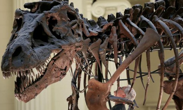 FILE PHOTO - The dinosaur named 'Sue,' a 41-foot-long Tyrannosaurus rex, is shown on display at the Field Museum in Chicago, U.S. on May 17, 2000. REUTERS/Sue Ogrocki/File Photo