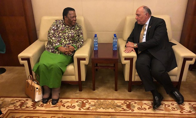 Egyptian Foreign Minister Sameh Shoukry meets with his South African counterpart Naledi Pandor on the sidelines of the 36th session of the Executive Council of the African Union in Addis Ababa on February 7, 2020- press photo