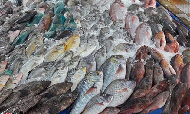 Fish at Hurghada's fish market - Egypt Today